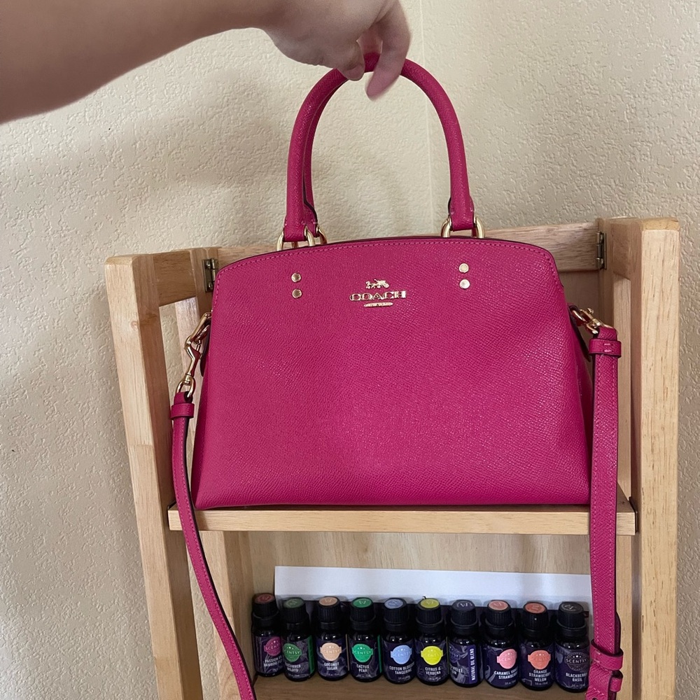 Mini Coach Carryall
